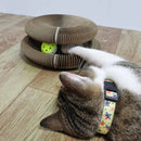 Cat Scratcher Toy