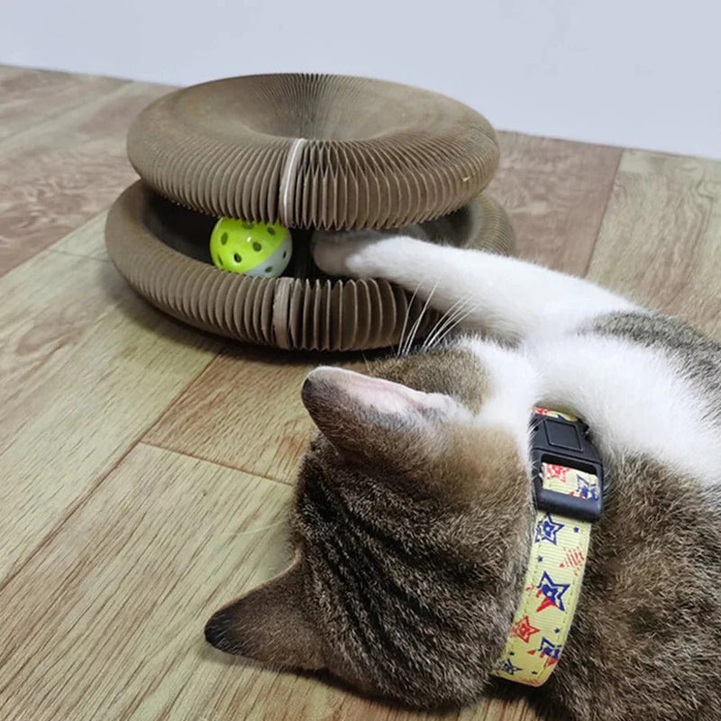 Cat Scratcher Toy