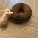 Cat Scratcher Toy